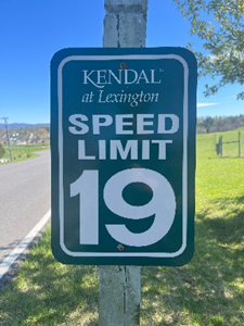 19 mph speed limit sign on Kendal Drive